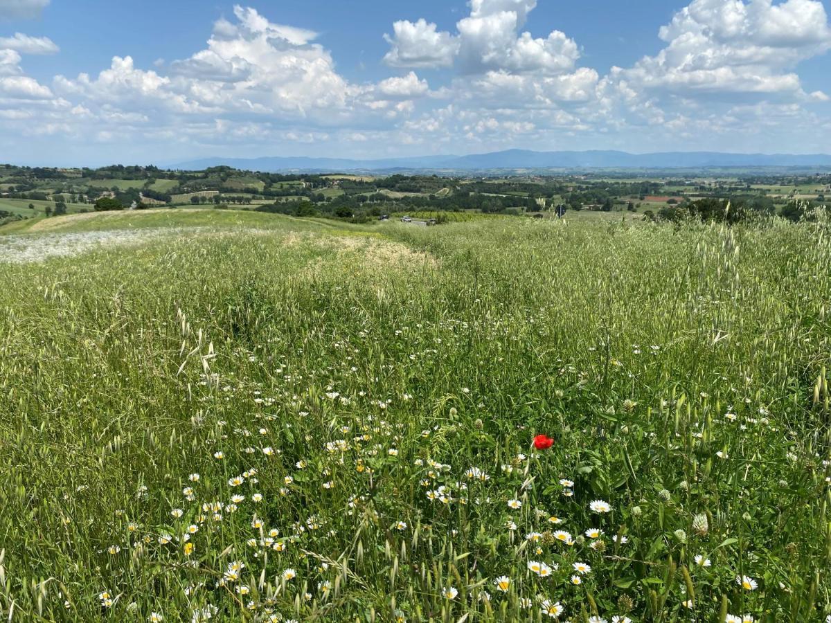 Вилла Agriturismo La Collina Сиена Экстерьер фото