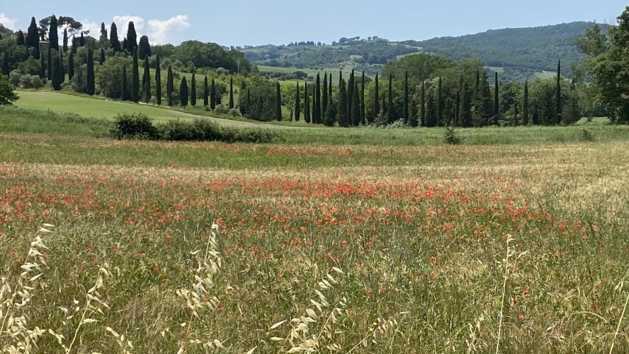 Вилла Agriturismo La Collina Сиена Экстерьер фото