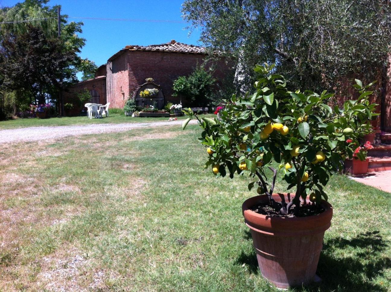 Agriturismo La Collina Сиена Экстерьер фото